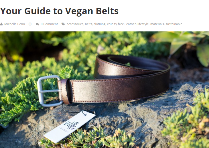 OI Wear Featured on World of Vegan